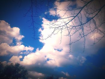 Low angle view of tree against sky