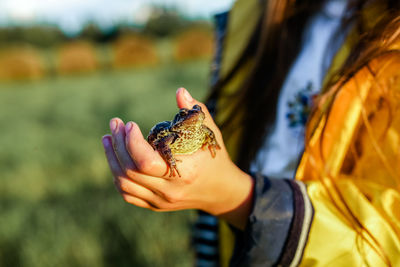 Midsection of girl holding frog