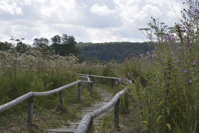 Scenic view of land and trees against sky