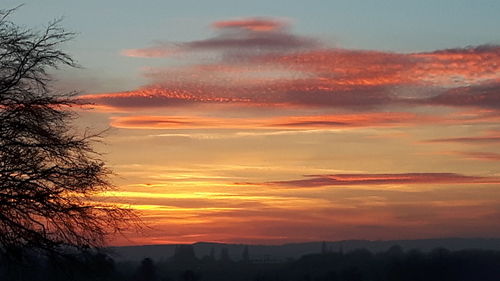 Silhouette trees against sky during sunset