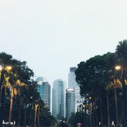 Trees and buildings against sky in city