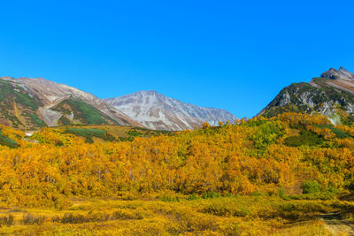 Vachkazhets volcano crater on kamchatka in autemn