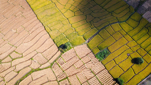 High angle view of green field