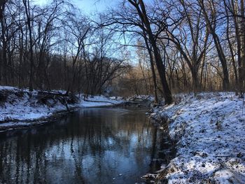 Scenic view of frozen trees against sky during winter