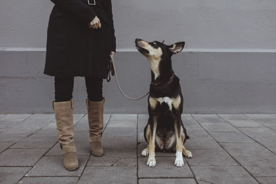 Dog looking up at female pet owner standing on footpath in city