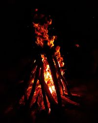 Low angle view of bonfire at night