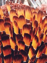 Full frame shot of wooden logs