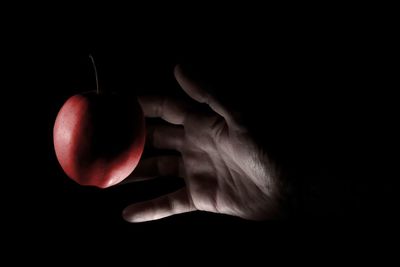 Close-up of hand holding apple against black background