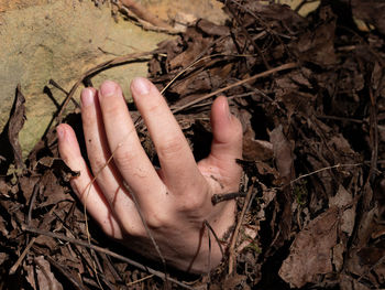 High angle view of human hand