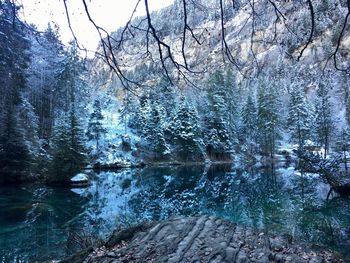 Scenic view of lake in forest during winter