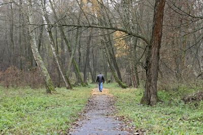 Man walking with dog in forest