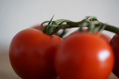 Close-up of tomatoes