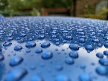 Close-up of raindrops on table