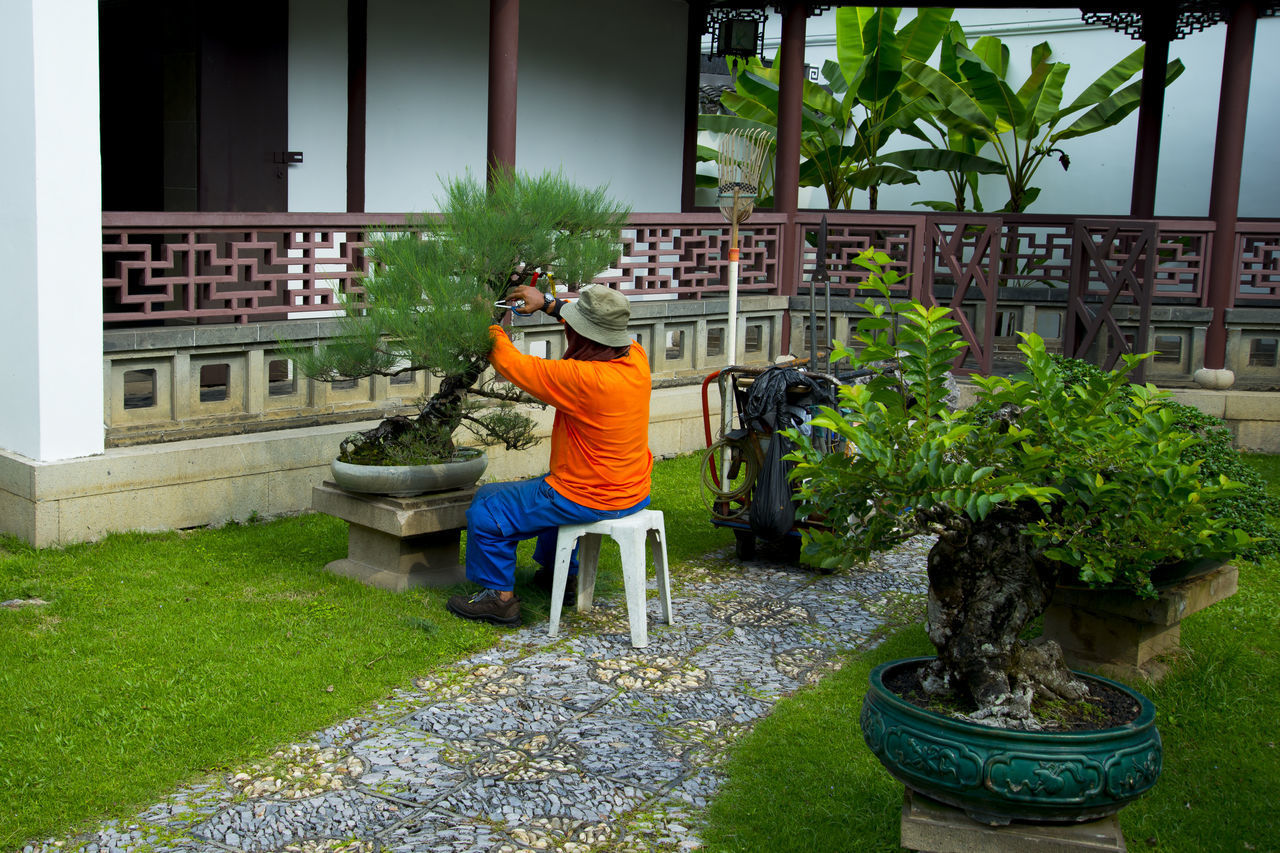 REAR VIEW OF MAN STANDING IN YARD