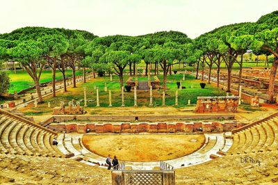 Trees on landscape