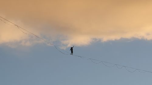 Low angle view of bird flying against sky during sunset