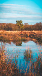 Scenic view of lake against sky