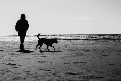 Silhouette men with dog on beach against sky