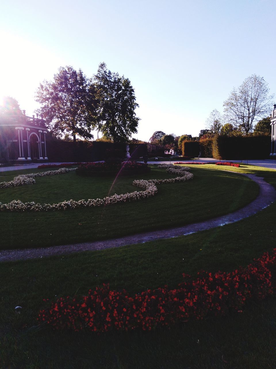 plant, tree, sky, nature, grass, growth, flower, flowering plant, beauty in nature, park, no people, day, clear sky, outdoors, building exterior, architecture, park - man made space, tranquility, field, sunlight, flowerbed, hedge