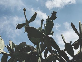 Low angle view of statues on cactus against sky