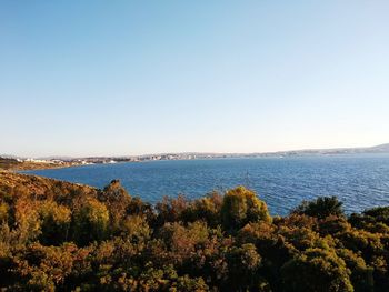 Scenic view of sea against clear sky