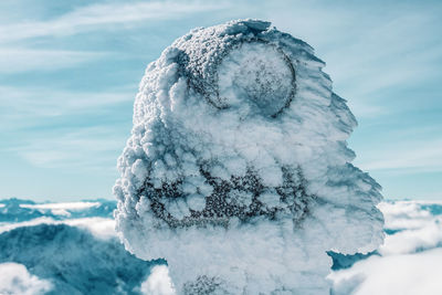 Close-up of snow covered tree against sky