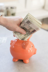 Close-up of hand holding coins