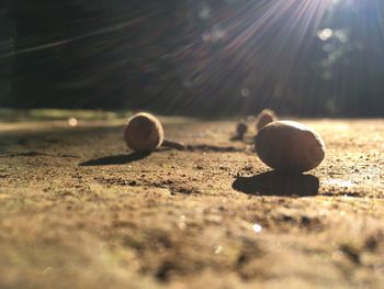 Surface level of ball on field