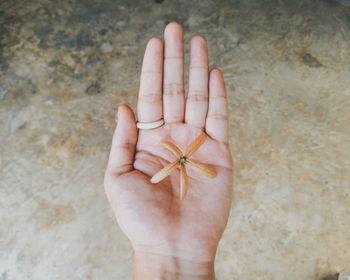 High angle view of hand holding bread