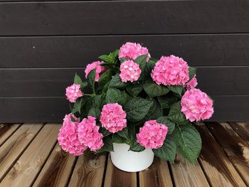 High angle view of pink flowering plants on wooden table