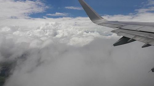 Cropped image of airplane wing over landscape