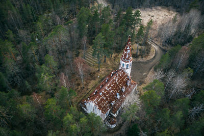 High angle view of people on road amidst trees
