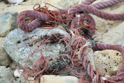 Close-up of fishing net