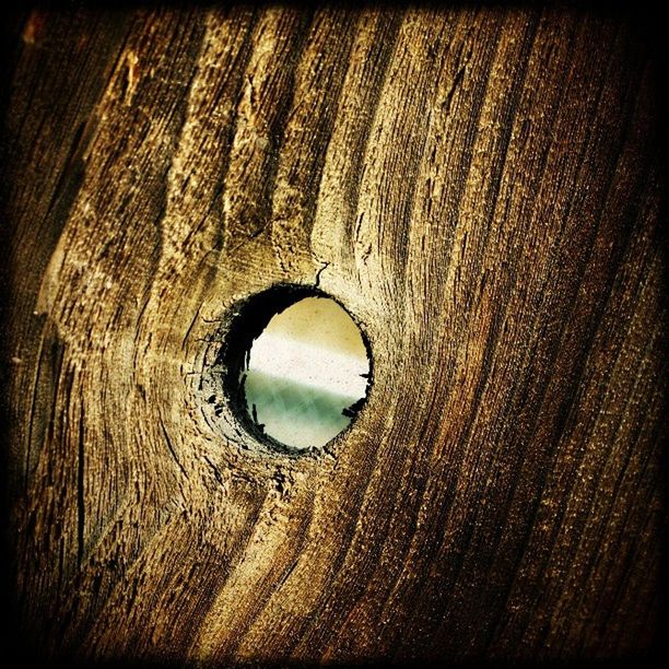 full frame, backgrounds, textured, circle, close-up, pattern, transfer print, indoors, auto post production filter, hole, natural pattern, detail, no people, geometric shape, nature, wood - material, rough, abstract, day