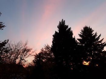 Low angle view of silhouette trees against sky at sunset