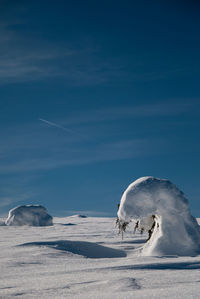 View of birds on snowcapped mountain against blue sky