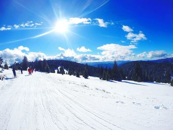 People skiing on snow covered field against blue sky on sunny day during winter