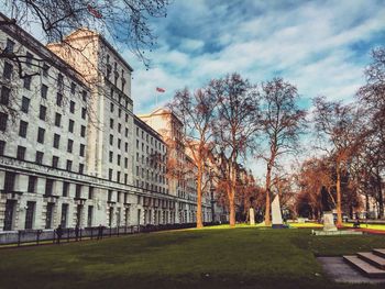 Trees on lawn with buildings in background