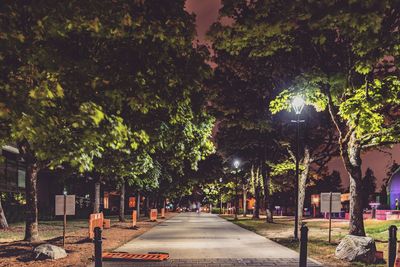 Street amidst trees and plants in city