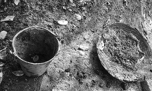 Close-up of circular object on wall