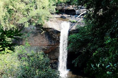 Scenic view of waterfall in forest