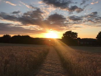 Scenic view of field against sky during sunset