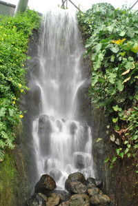 Scenic view of waterfall in forest