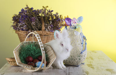 Rabbit and easter decorations on table against wall