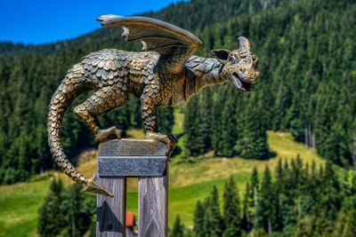 View of an animal on wooden post