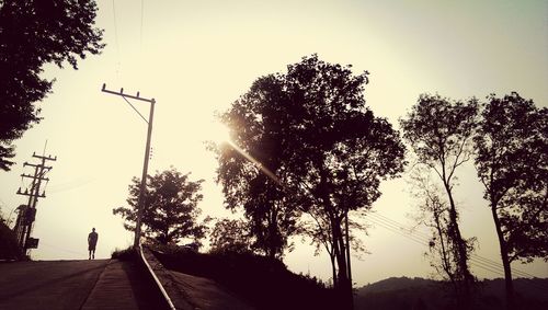 Silhouette of trees by road against sky