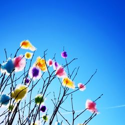 Low angle view of pink flowering plant against blue sky