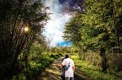 Rear view of man walking on street amidst trees against sky