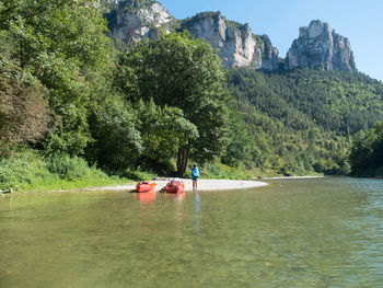 Scenic view of river by tree mountain