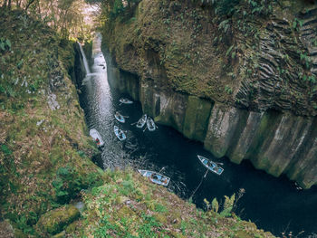 High angle view of river amidst trees in forest